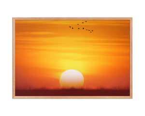 Collection image for: Wall Art