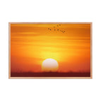 Red Oak / 24″×36″