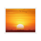 White / 16″×20″